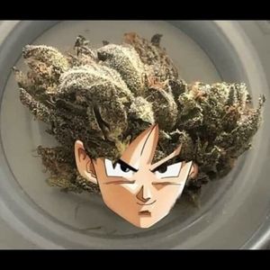 Meet your Posher, Jose